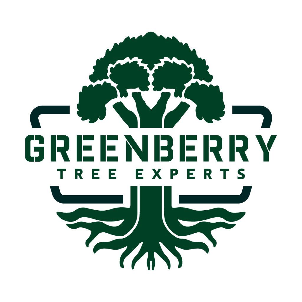 Greenberry Tree Experts
