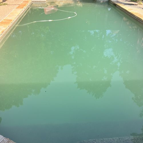 Swimming Pool Cleaning, Maintenance, and Inspection