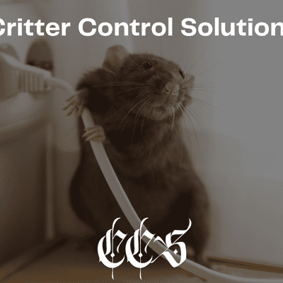 Avatar for Critter Control Solutions