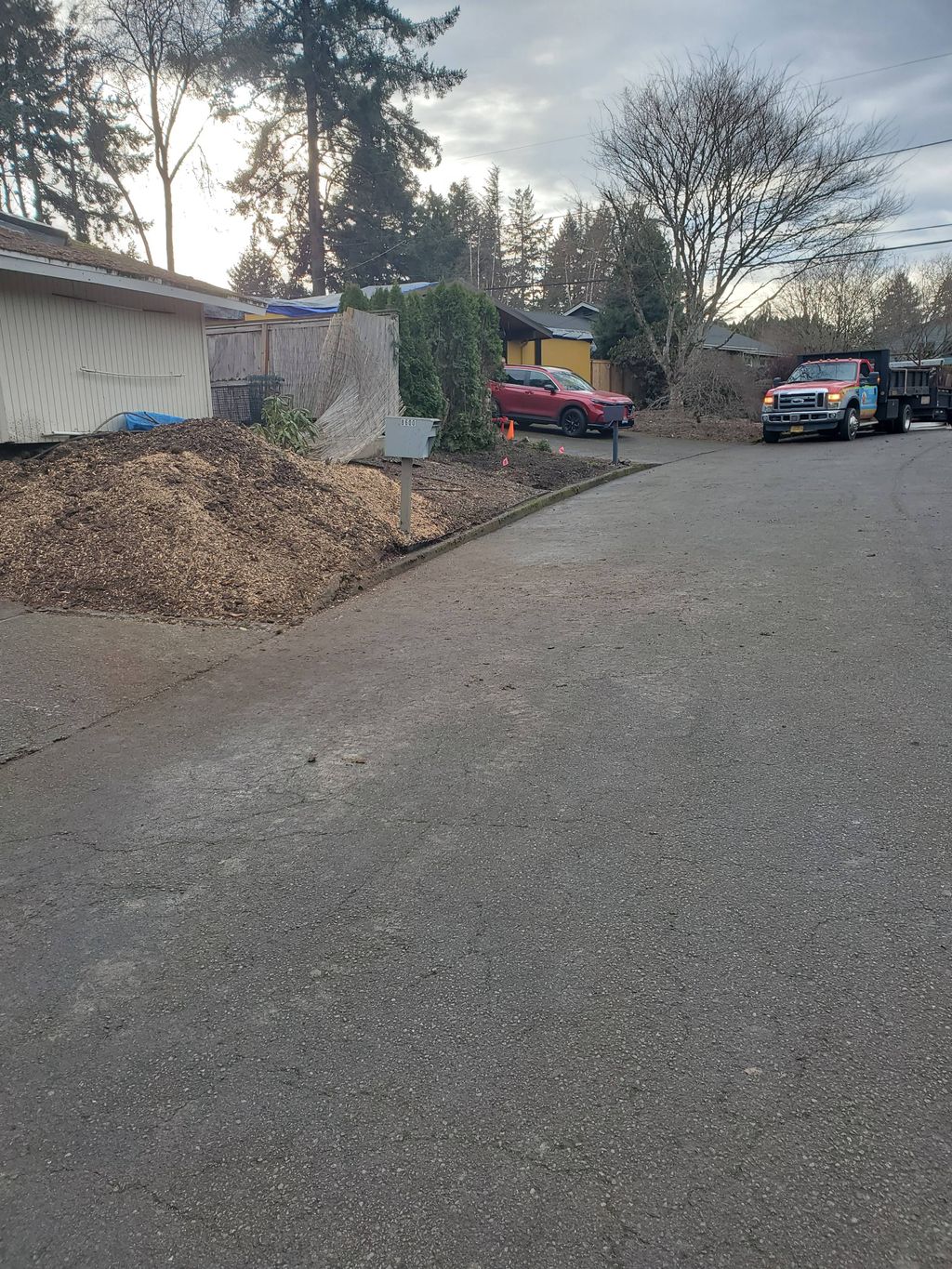 Large Stump Grinding (after All done)