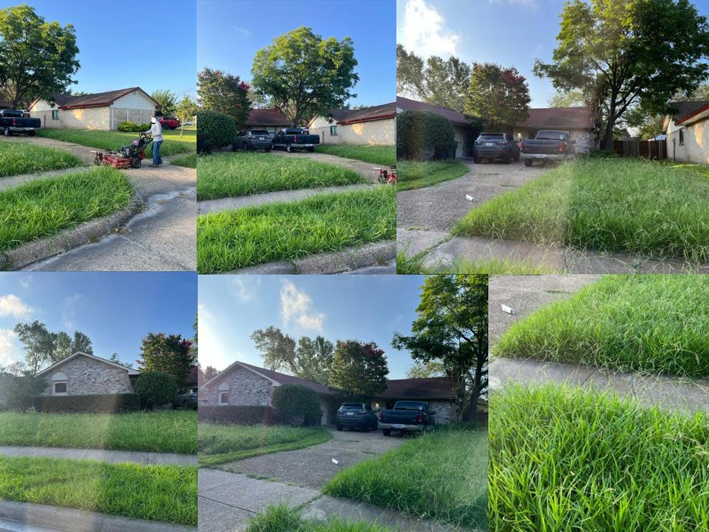 Lawn Mowing and Trimming