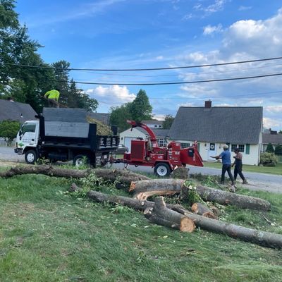Avatar for J&F Tree Services & Landscaping Inc