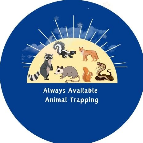 Always Available Animal Trapping