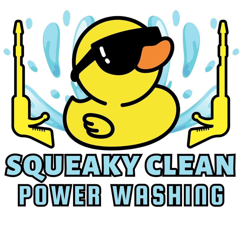 Squeaky Clean Power Washing