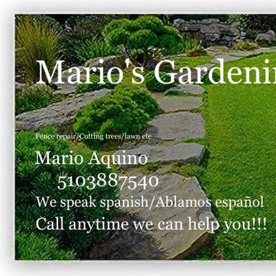 Avatar for Mario’s Gardening