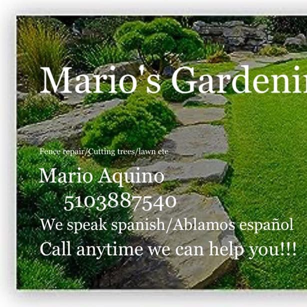 Mario’s Gardening