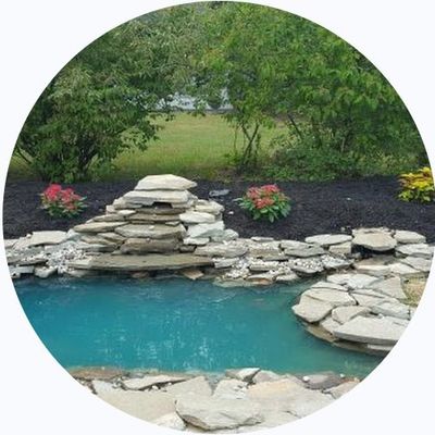 Avatar for Buffalo Landscape Solutions and Home Services