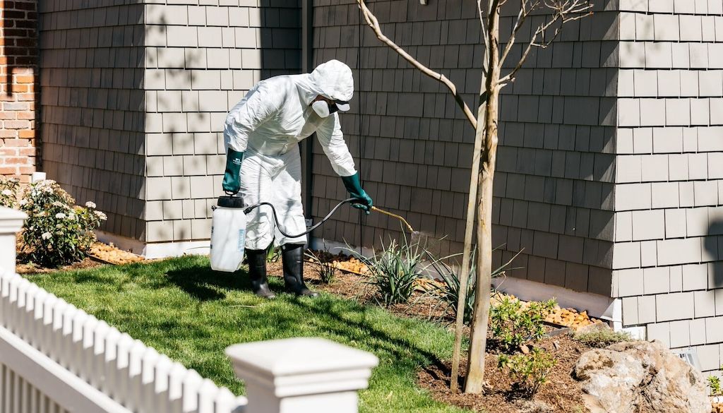 exterminator spraying outside of the house