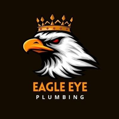 Avatar for Eagle Eye Plumbing LLC