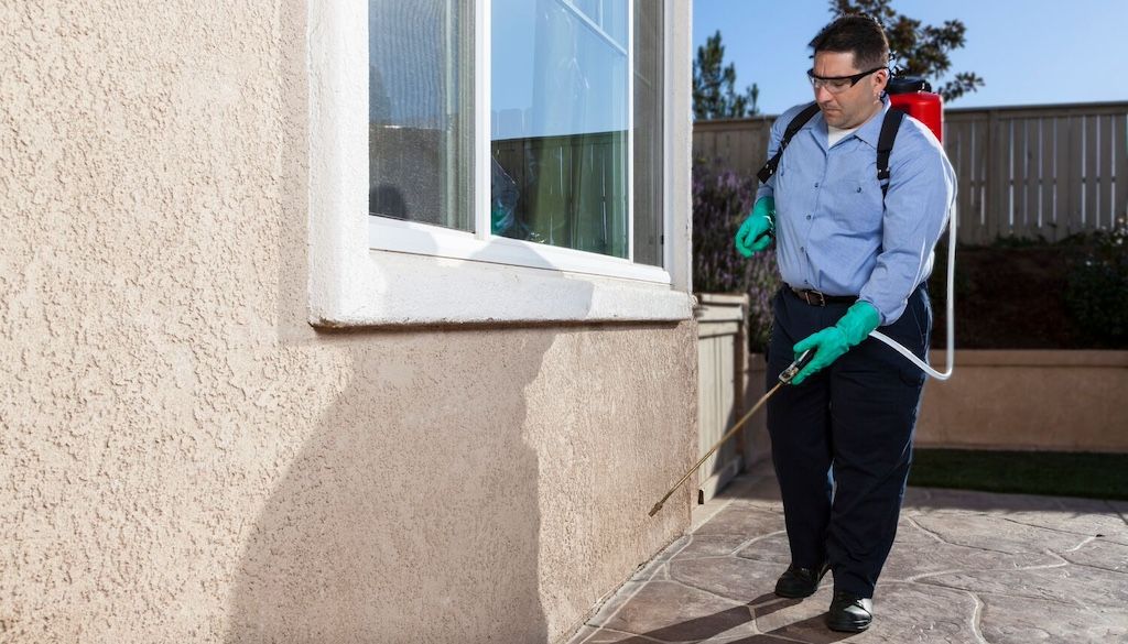 How Much Does an Exterminator Cost? See 2025 Pest Control Costs