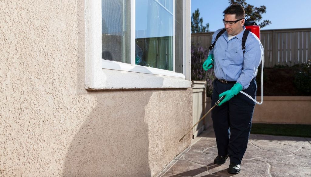 professional exterminator spraying house