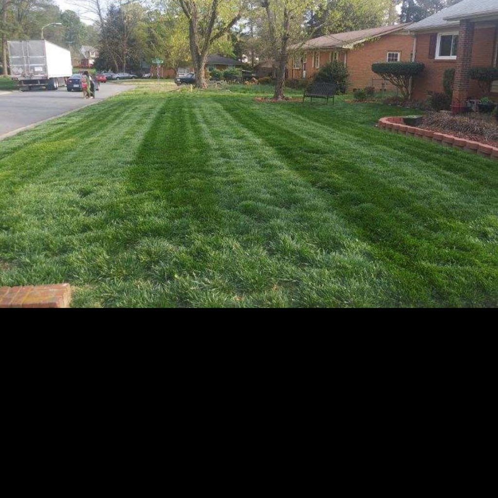Shapes and Lines Landscaping LLC