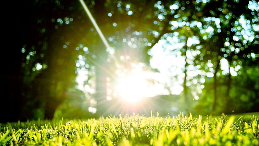 sun over grass