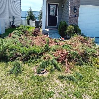Avatar for B&G Lawn Care