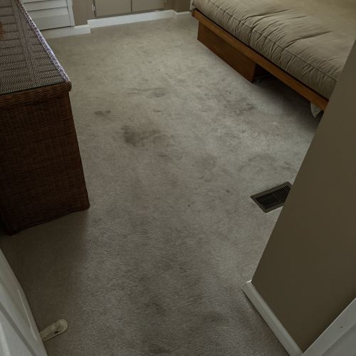 Carpet Cleaning