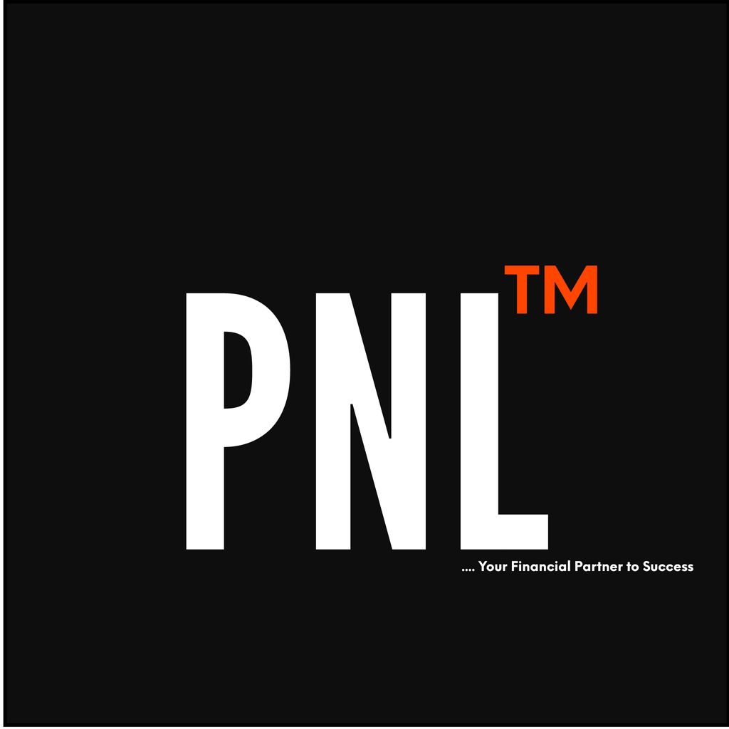 PNLFINANCIALS LLC