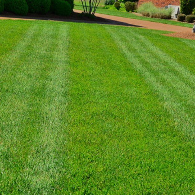 Marko lawn care service