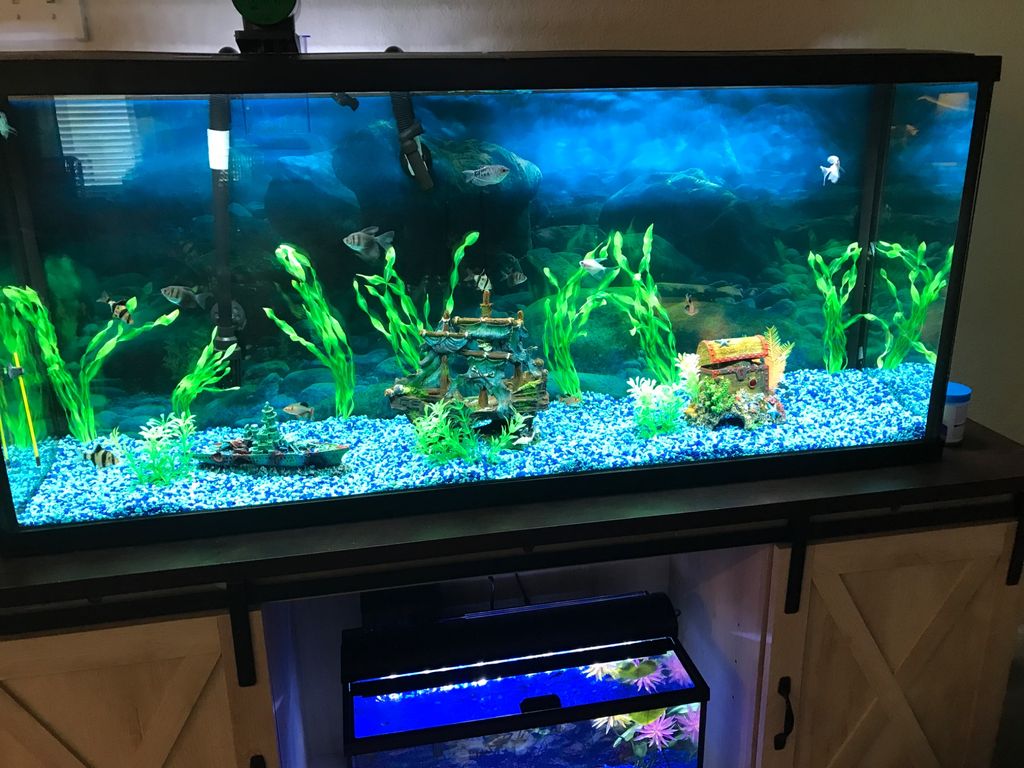 Customer photos