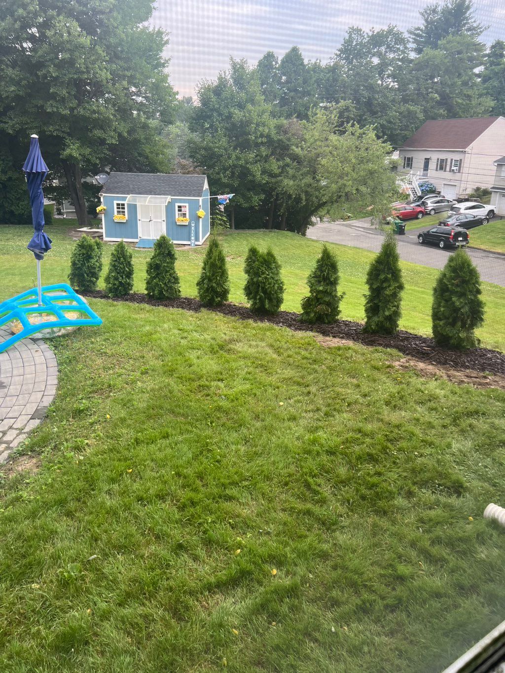 Customer photos