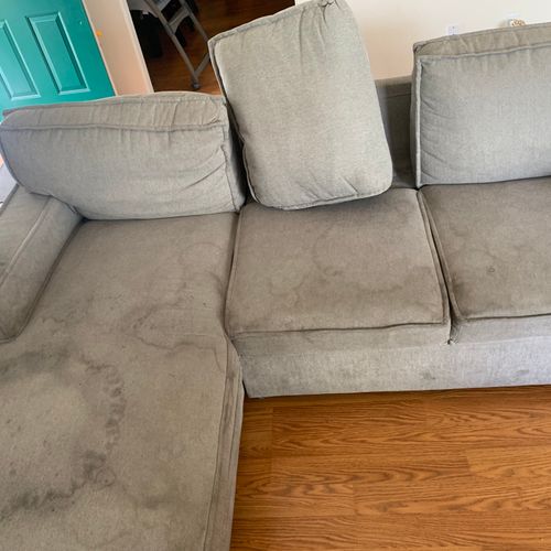 Upholstery and Furniture Cleaning