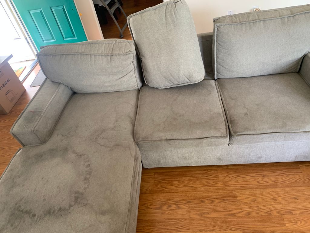 Upholstery and Furniture Cleaning