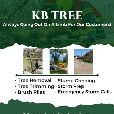 Avatar for KB Tree Service