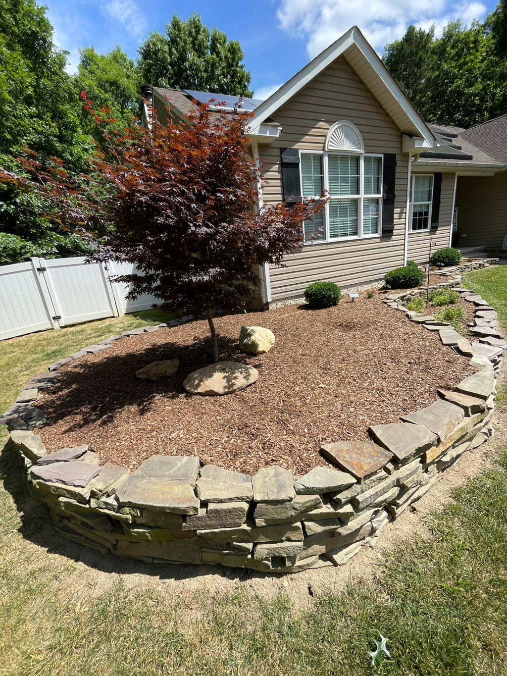 A rock wall, boxwoods, Japanese maple tree, perenn