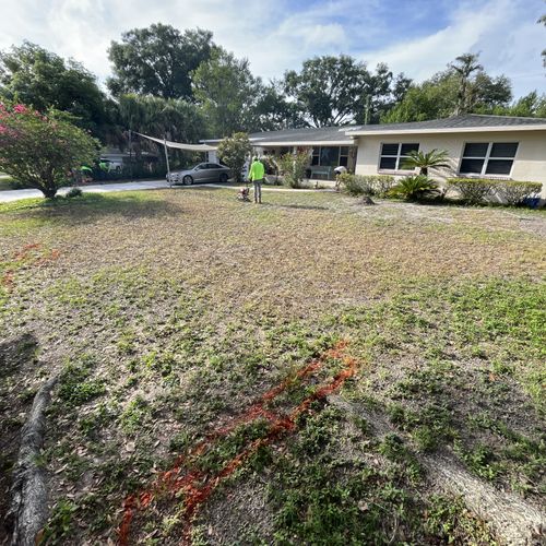 Sod Installation