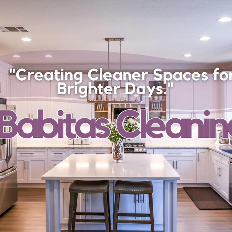 Babitas cleaning services