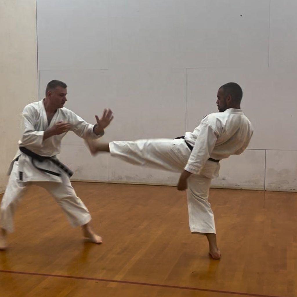 Stand up martial arts Karate