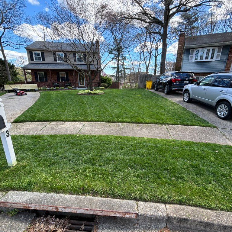 bs landscaping