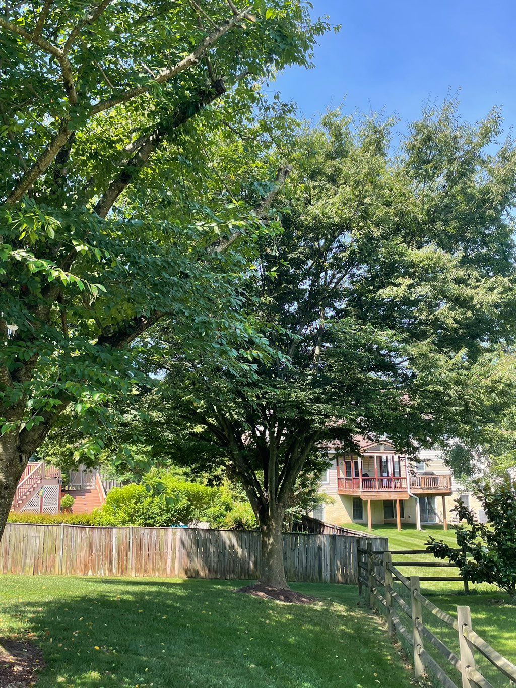 The team did great work on trimming back branches 