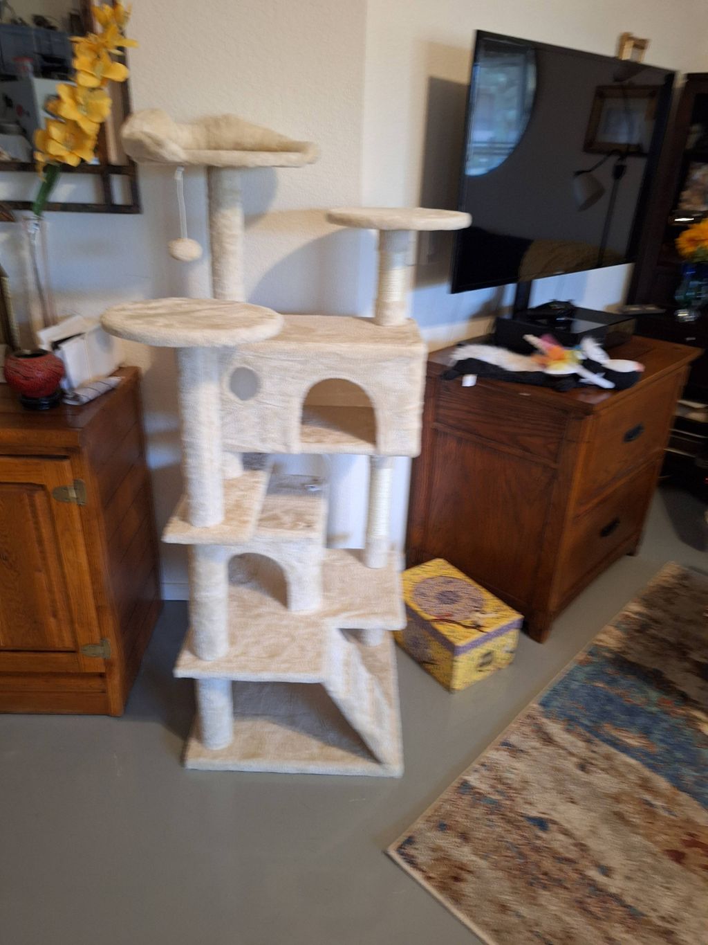 Customer photos