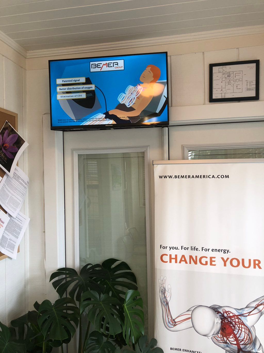 TV mount 