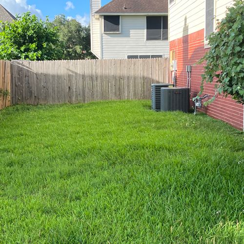 Lawn Mowing and Trimming