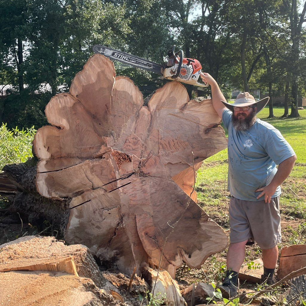 Tree Guys Tree Service and land clearing