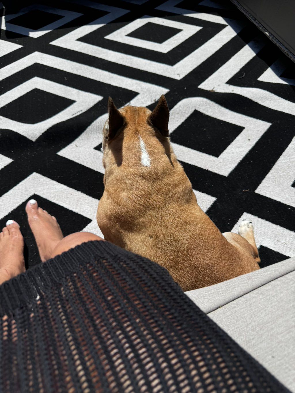 Banks and I share great quality time in the sunshi