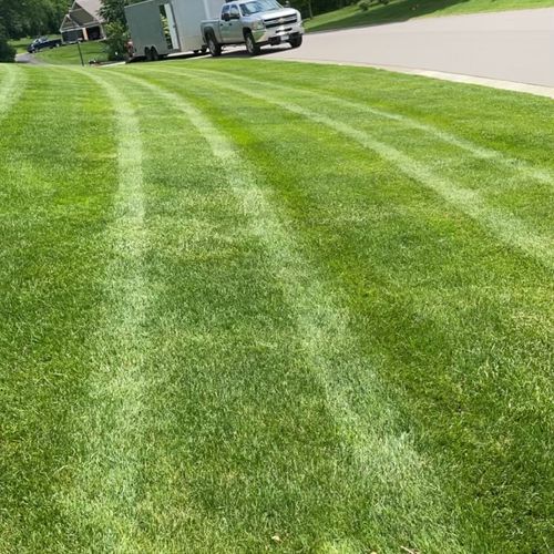 Full Service Lawn Care