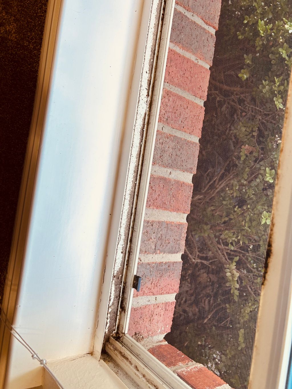 Dirty Window Sill