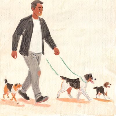 Avatar for Grant's Dog Walking Service