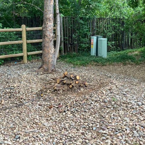 Tree Stump Grinding and Removal