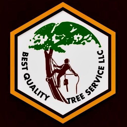 Best Quality tree services