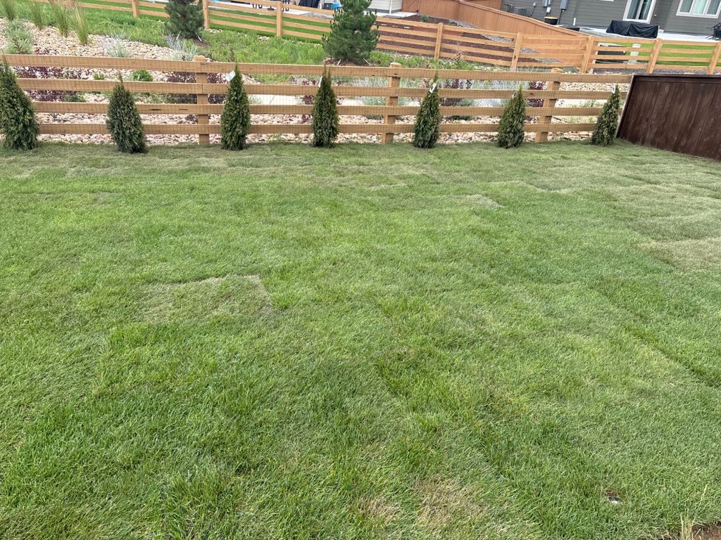 Customer photos