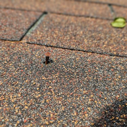 Sam came to clean my gutters and inspected my roof