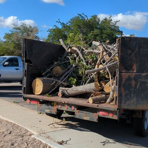 Tree Removal (After)