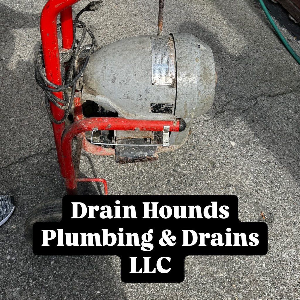 Drain Hounds