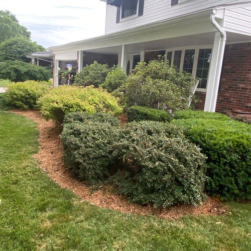 I hired Jon to weed, trim bushes, and put down mul