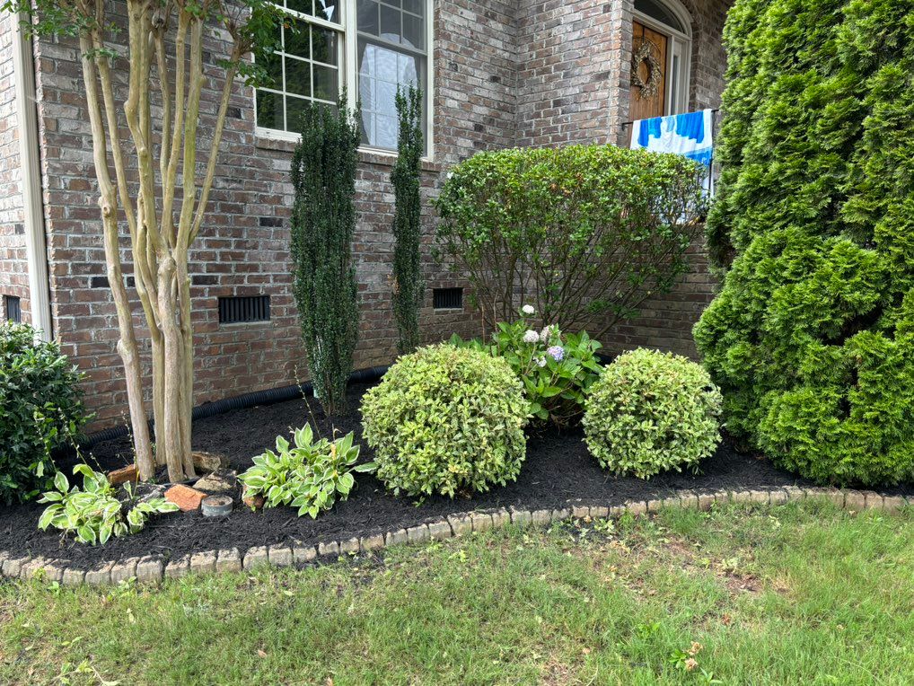Sullivan & Son’s Lawn And Landscaping | Easley, SC