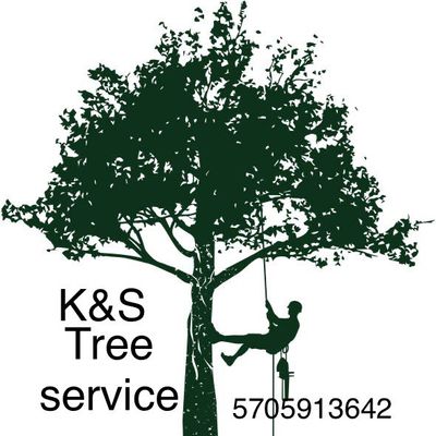 Avatar for K&S tree service