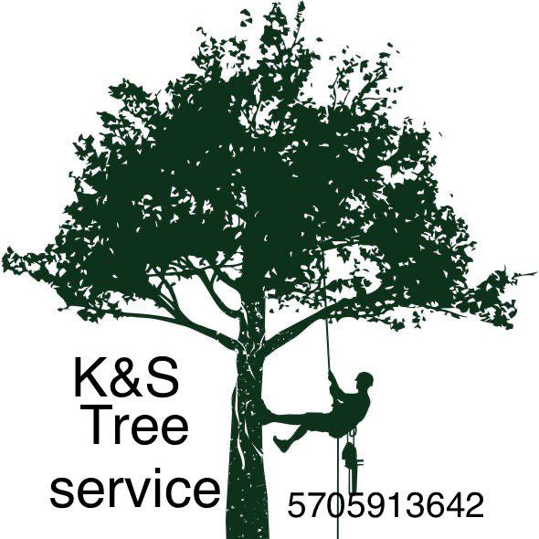 K&S tree service